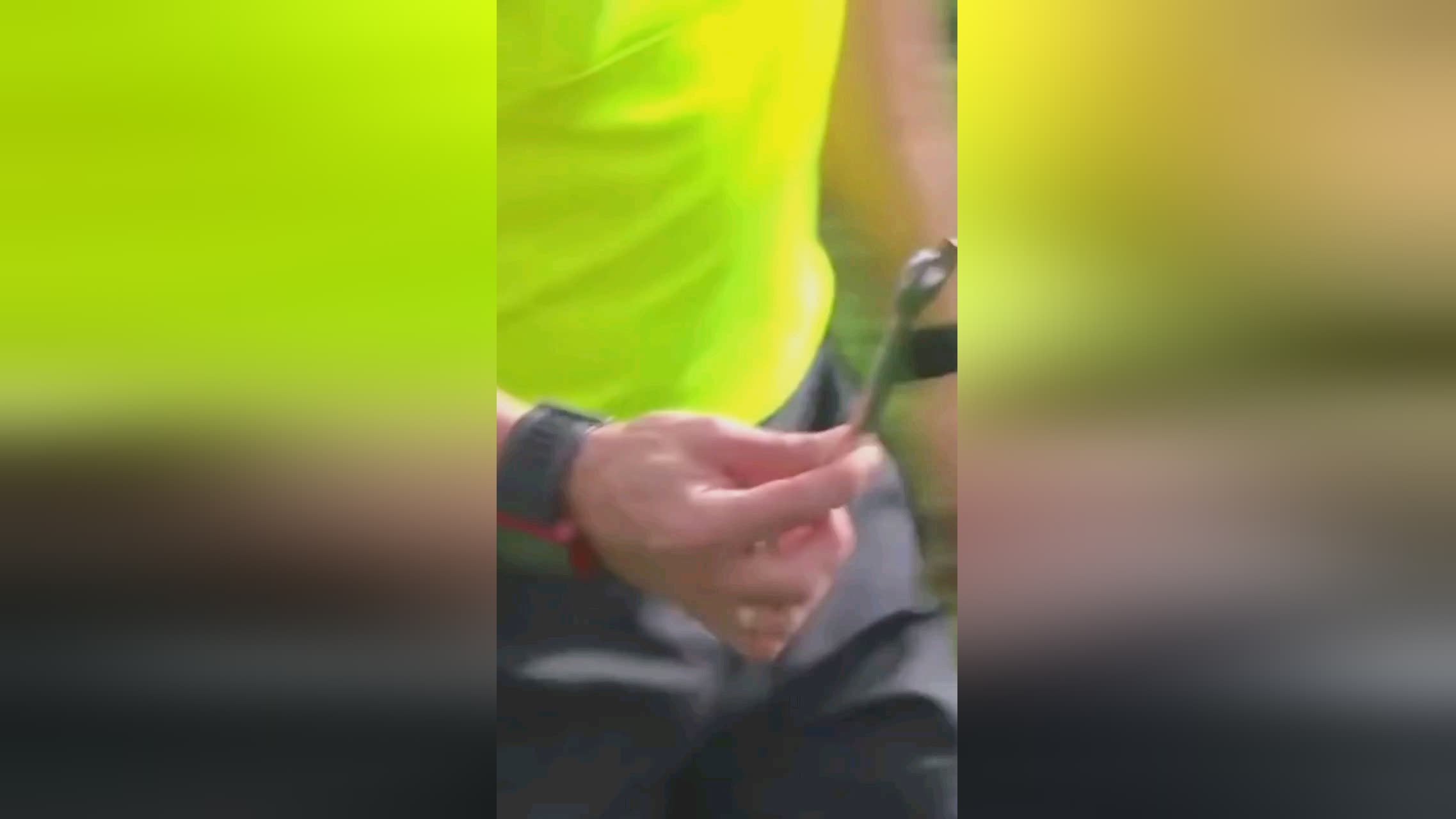佳的